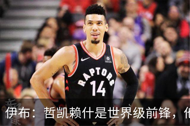 伊布：哲凯赖什是世界级前锋，他不进球应该问问他的队友