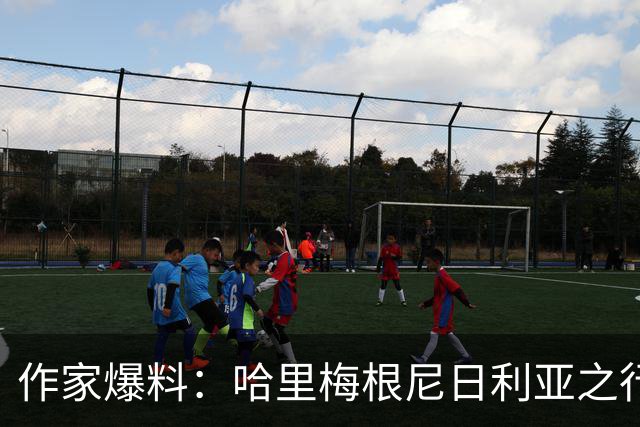 作家爆料：哈里梅根尼日利亚之行激怒查尔斯，曾讨论剥夺头衔