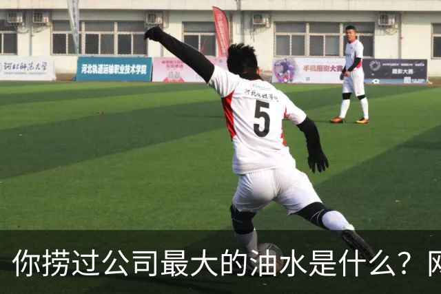 你捞过公司最大的油水是什么？网友：你们的胆子真的是肥嘟嘟的！