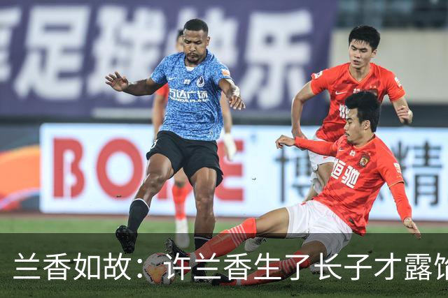 兰香如故：许兰香生了长子才露馅，养母那句“很快就生了”，林锦岐当场愣住，原来她不是亲生的，直接让林锦岐确认她就是沈嘉兰！