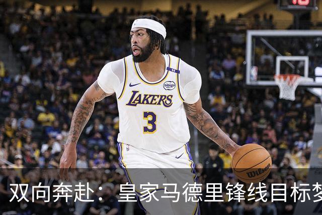 双向奔赴：皇家马德里锋线目标梦想转会西甲