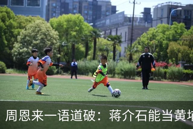 周恩来一语道破：蒋介石能当黄埔校长，全靠这两个把兄弟
