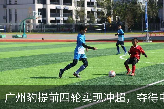广州豹提前四轮实现冲超，夺得中甲冠军