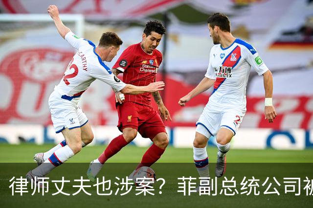 律师丈夫也涉案？菲副总统公司被查不付股息，财富来源解释不通