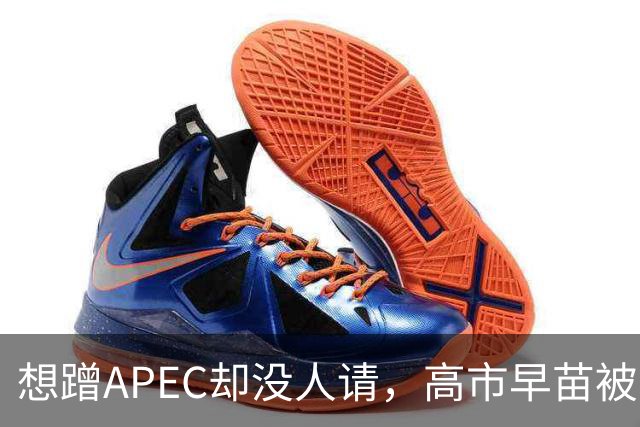 想蹭APEC却没人请，高市早苗被晾一边，台阶找得太滑稽