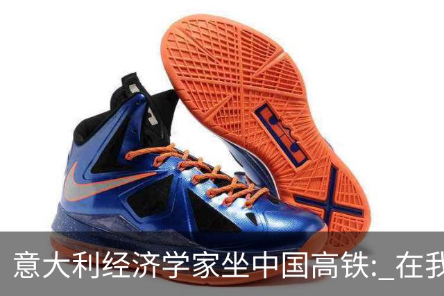意大利经济学家坐中国高铁: 在我们那, 不逃票的老实人被视为傻子
