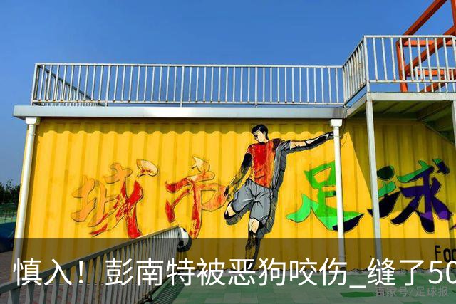 慎入！彭南特被恶狗咬伤 缝了50多针，所幸他的宠物犬英勇护主
