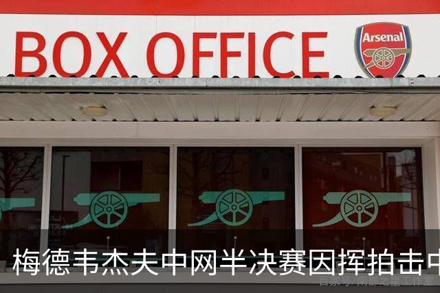 梅德韦杰夫中网半决赛因挥拍击中观众被直接判负