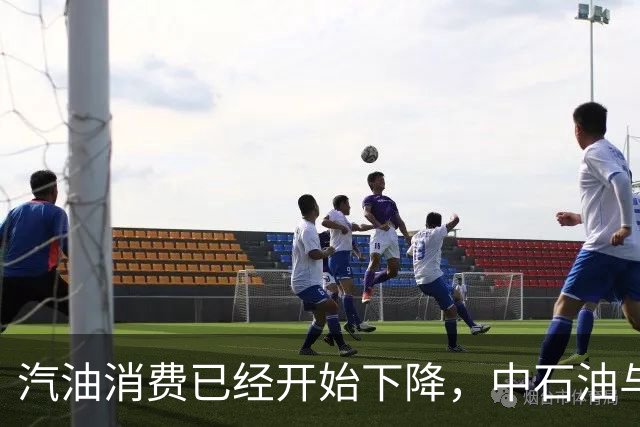 汽油消费已经开始下降，中石油与中石化为何还要大举扩建加油站？