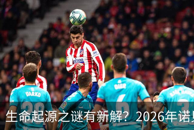 生命起源之谜有新解？2026年诺贝尔化学奖成果深度解读