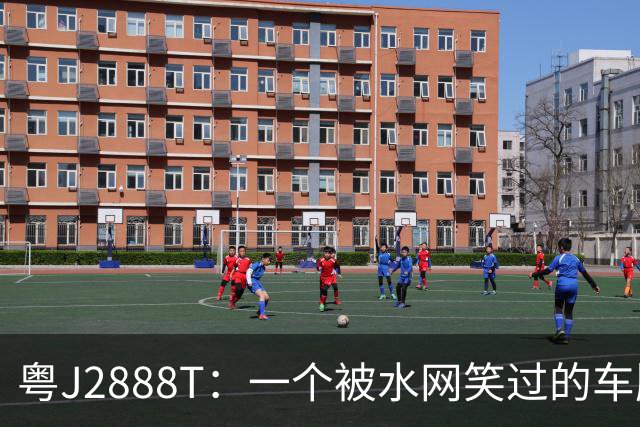 粤J2888T：一个被水网笑过的车牌，后来让我笑不出来了