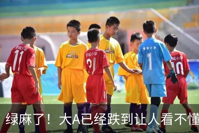 绿麻了！大A已经跌到让人看不懂了