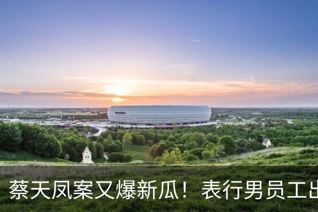 蔡天凤案又爆新瓜！表行男员工出庭，夸前夫友善，俩事却让人费解