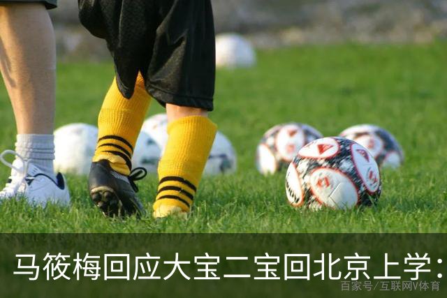 马筱梅回应大宝二宝回北京上学：不是我能做主