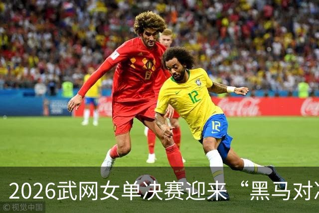 2026武网女单决赛迎来“黑马对决”，斯瓦泰克波兰德比落败，赫瓦林斯卡将与卡塔尔争冠